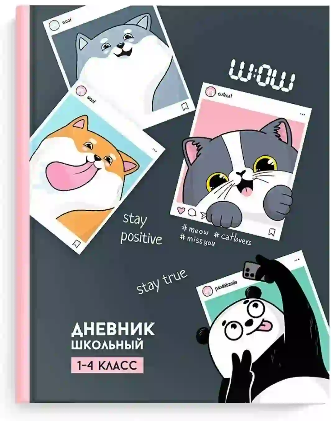 Дневники с обложками, украшенными фотографиями класса